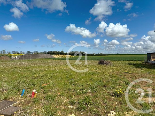 Terrain à vendre - 362 m2 - Rots - 14 - BASSE-NORMANDIE
